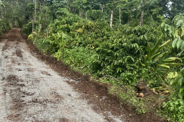 CHÍNH CHỦ GỬI BÁN LÔ ĐẤT RẪY THUỘC XÃ EABLANG THỊ XÃ BUÔN HỒ